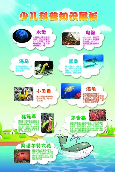 呵护医疗科普背后的健康需求